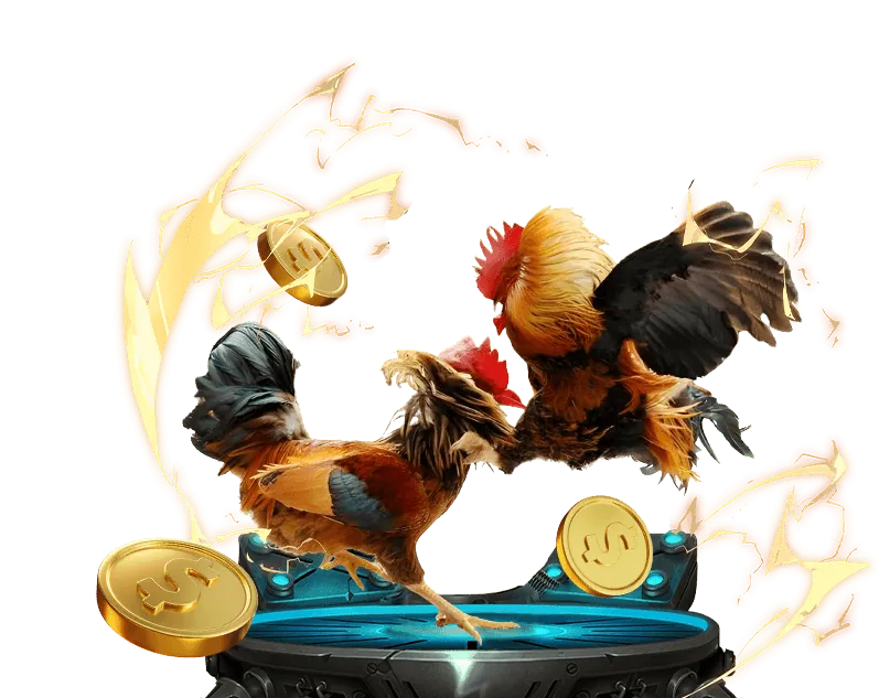 Hỗ trợ qua Email RR888 Trang Chủ